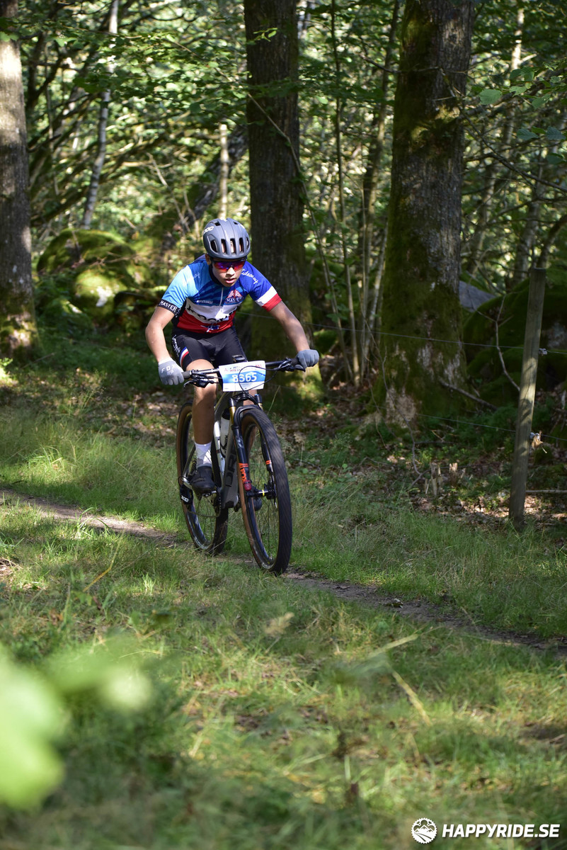 Bild från Bockstensturen 2019